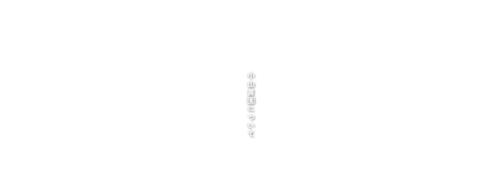 小山農園について